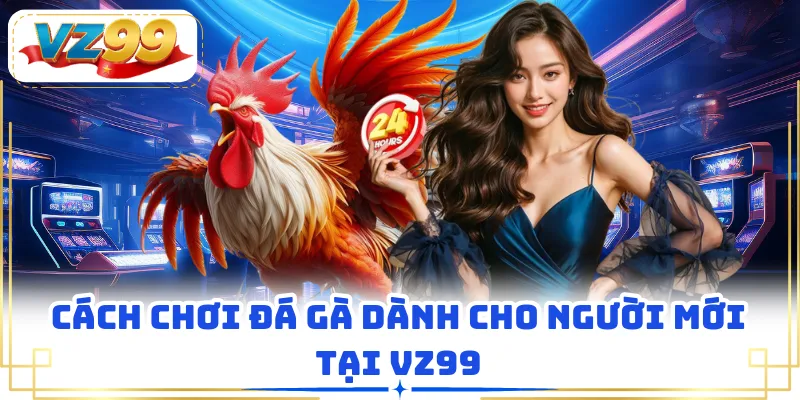 Cách chơi đá gà dành cho người mới tại VZ99