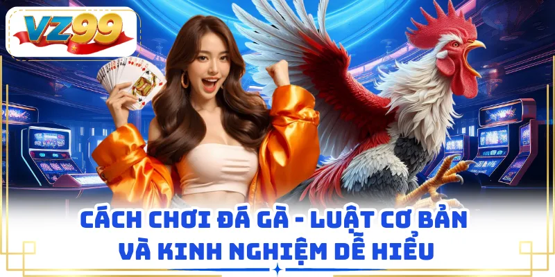 Cách Chơi Đá Gà - Luật Cơ Bản Và Kinh Nghiệm Dễ Hiểu
