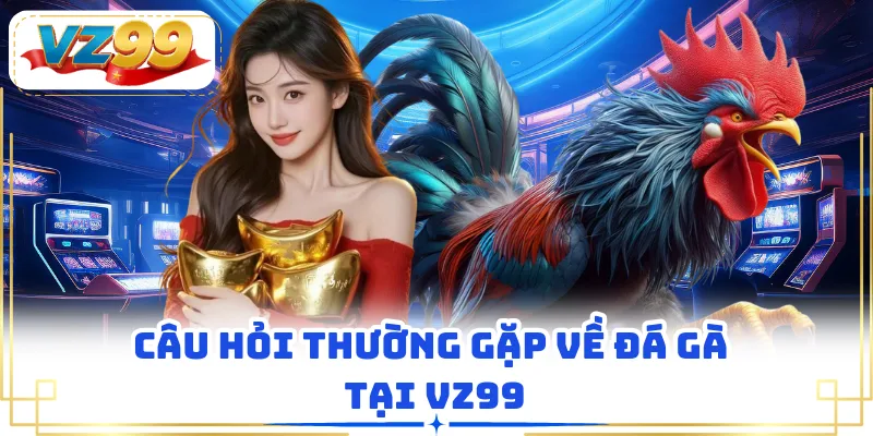 Câu hỏi thường gặp về đá gà tại VZ99