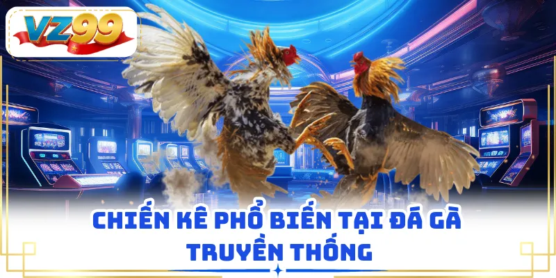 Chiến kê phổ biến tại đá gà truyền thống