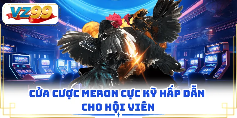 Cửa cược meron cực kỳ hấp dẫn cho hội viên