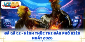 Đá Gà C2 - Hình Thức Thi Đấu Phổ Biến Nhất 2026
