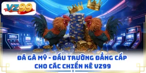 Đá Gà Mỹ - Đấu Trường Đẳng Cấp Cho Các Chiến Kê VZ99