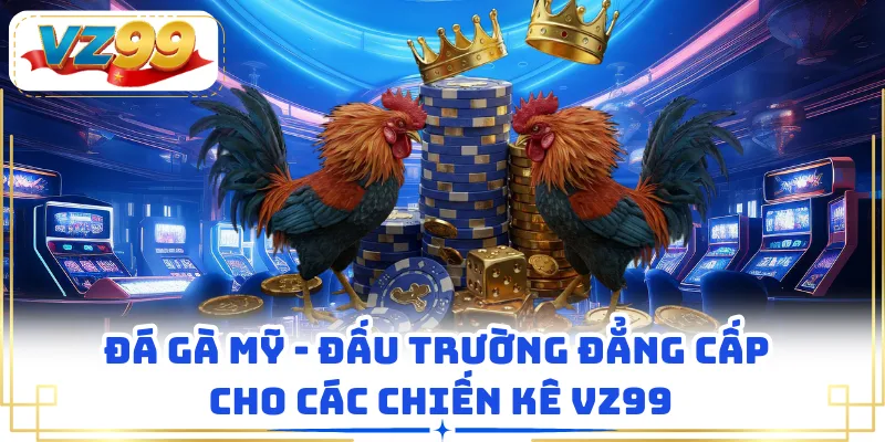 Đá Gà Mỹ - Đấu Trường Đẳng Cấp Cho Các Chiến Kê VZ99