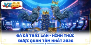 Đá Gà Thái Lan - Hình Thức Được Quan Tâm Nhất 2026
