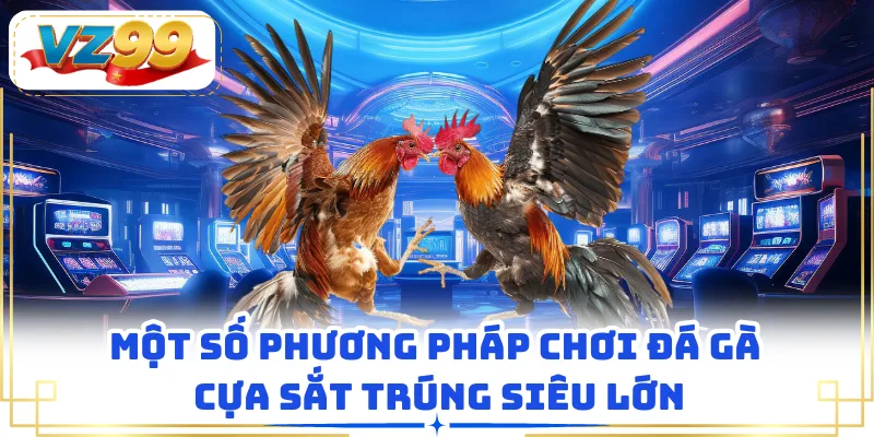 Một số phương pháp chơi đá gà cựa sắt trúng siêu lớn