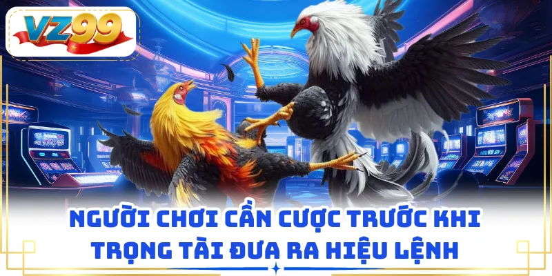 Người chơi cần cược trước khi trọng tài đưa ra hiệu lệnh