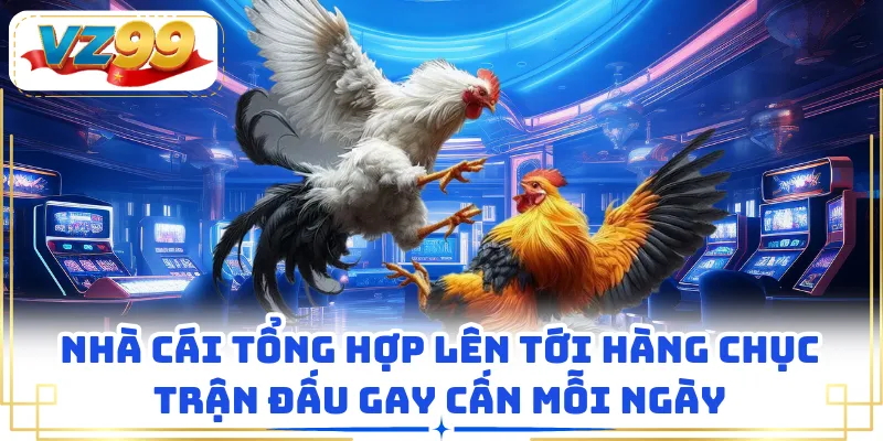 Nhà cái tổng hợp lên tới hàng chục trận đấu gay cấn mỗi ngày