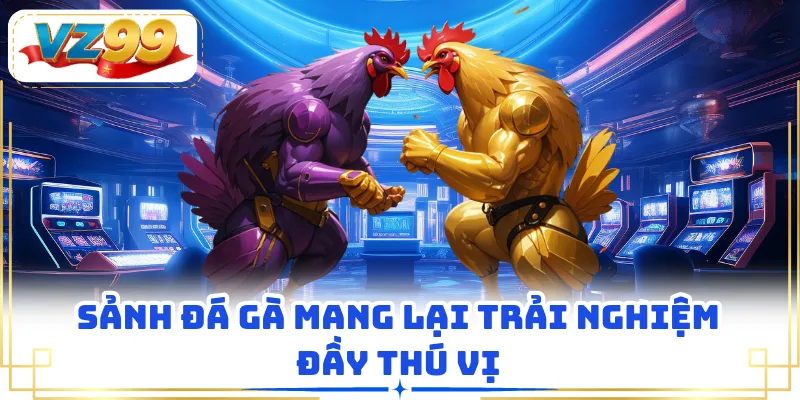 Sảnh Đá Gà mang lại trải nghiệm đầy thú vị