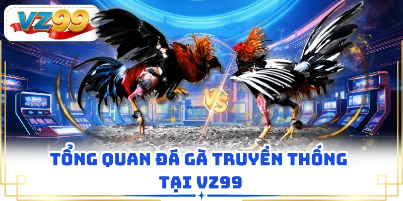 Tổng quan đá gà truyền thống tại VZ99