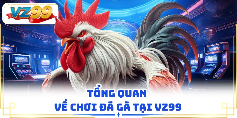 Tổng quan về chơi đá gà tại VZ99
