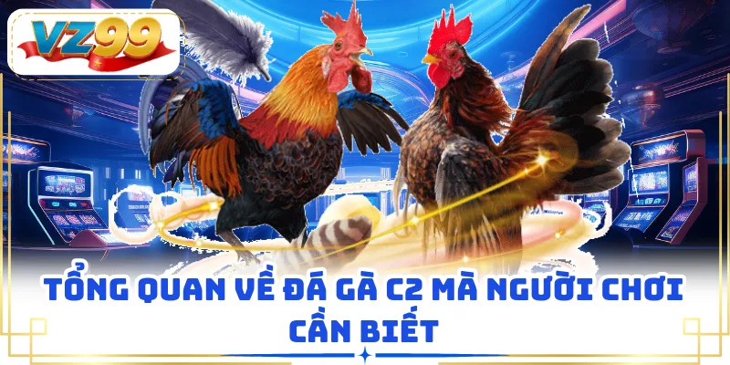 Tổng quan về đá gà C2 mà người chơi cần biết