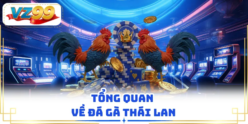 Tổng quan về đá gà Thái Lan
